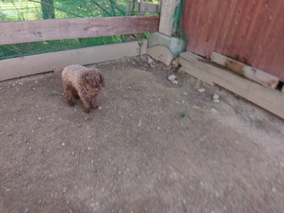 f:id:roukenhome-ann:20190420184120j:plain