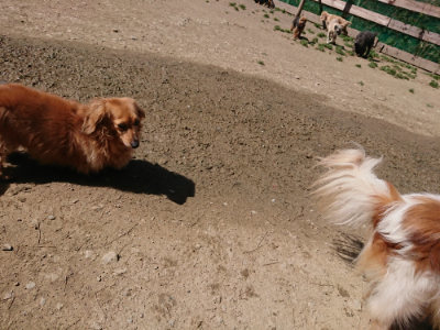 f:id:roukenhome-ann:20190420184127j:plain