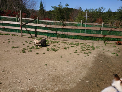 f:id:roukenhome-ann:20190420184206j:plain
