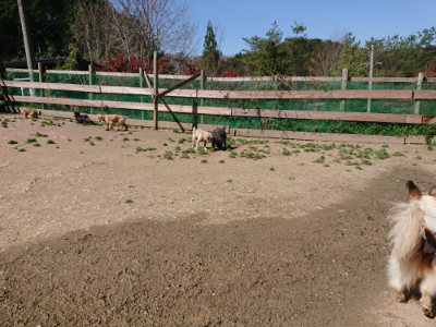 f:id:roukenhome-ann:20190420184212j:plain