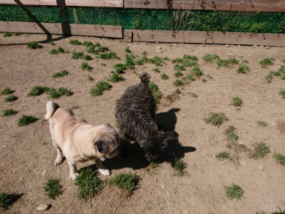 f:id:roukenhome-ann:20190420184229j:plain