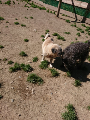 f:id:roukenhome-ann:20190420184235j:plain