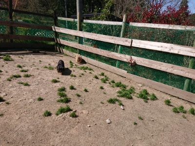 f:id:roukenhome-ann:20190420184240j:plain
