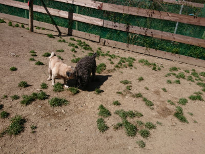 f:id:roukenhome-ann:20190420184251j:plain