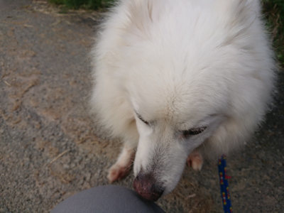 f:id:roukenhome-ann:20190421182408j:plain