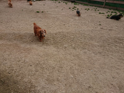 f:id:roukenhome-ann:20190421203113j:plain