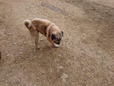 f:id:roukenhome-ann:20190421203359j:plain