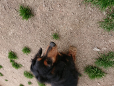 f:id:roukenhome-ann:20190421203422j:plain