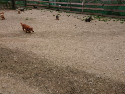 f:id:roukenhome-ann:20190421203428j:plain