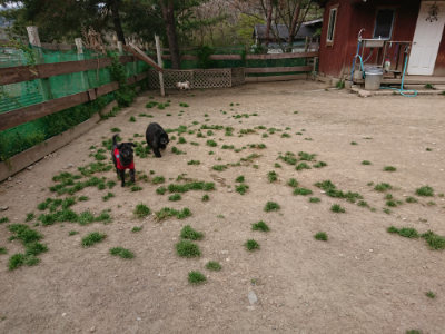 f:id:roukenhome-ann:20190421203509j:plain