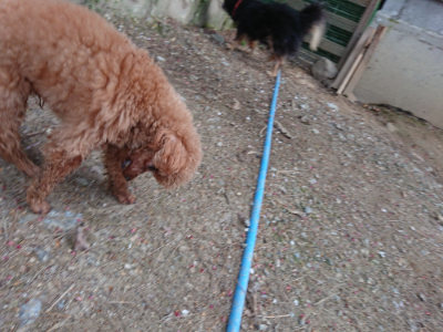 f:id:roukenhome-ann:20190421203551j:plain