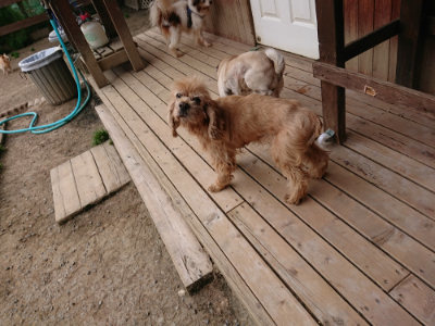 f:id:roukenhome-ann:20190421204404j:plain