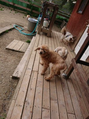 f:id:roukenhome-ann:20190421204409j:plain