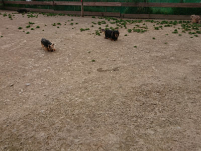 f:id:roukenhome-ann:20190421204457j:plain