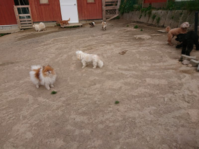 f:id:roukenhome-ann:20190421204539j:plain