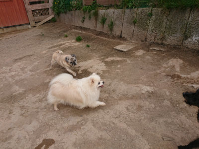 f:id:roukenhome-ann:20190421204630j:plain
