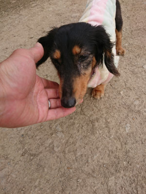 f:id:roukenhome-ann:20190421204640j:plain