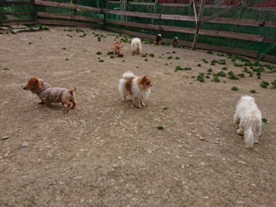 f:id:roukenhome-ann:20190421204712j:plain