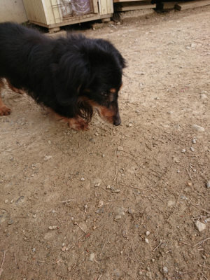 f:id:roukenhome-ann:20190421204717j:plain