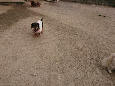 f:id:roukenhome-ann:20190421204734j:plain