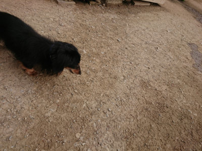 f:id:roukenhome-ann:20190421204740j:plain