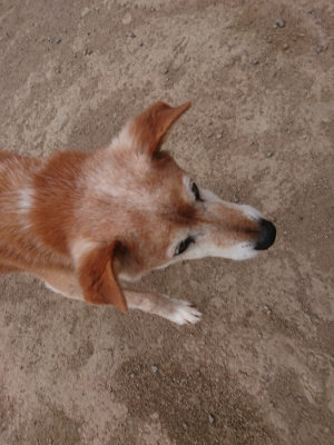 f:id:roukenhome-ann:20190421204800j:plain