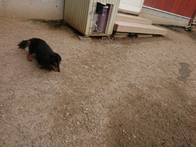 f:id:roukenhome-ann:20190421204812j:plain