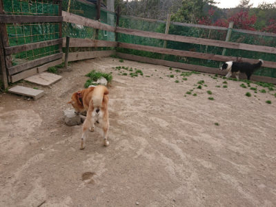 f:id:roukenhome-ann:20190421204834j:plain