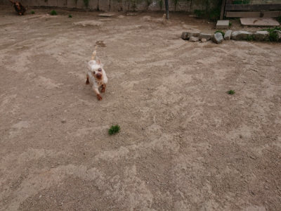 f:id:roukenhome-ann:20190421204841j:plain