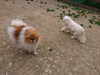 f:id:roukenhome-ann:20190421204908j:plain
