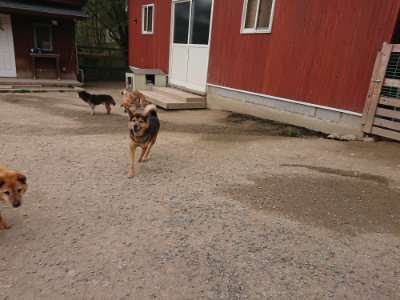 f:id:roukenhome-ann:20190421204934j:plain