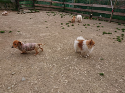 f:id:roukenhome-ann:20190421204939j:plain