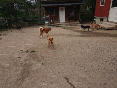 f:id:roukenhome-ann:20190421204953j:plain