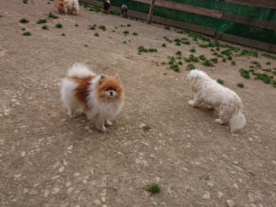 f:id:roukenhome-ann:20190421205003j:plain
