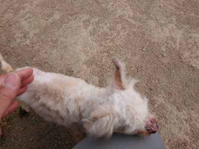 f:id:roukenhome-ann:20190421205025j:plain
