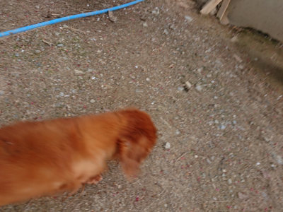 f:id:roukenhome-ann:20190421210556j:plain