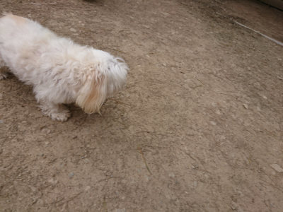 f:id:roukenhome-ann:20190421210608j:plain