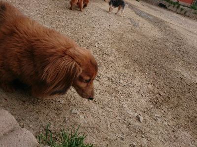 f:id:roukenhome-ann:20190421210716j:plain