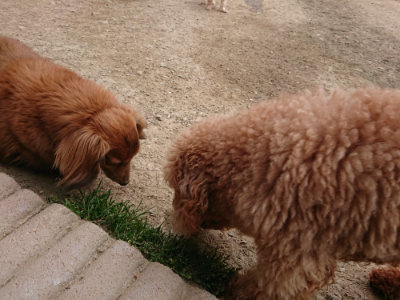 f:id:roukenhome-ann:20190421210722j:plain