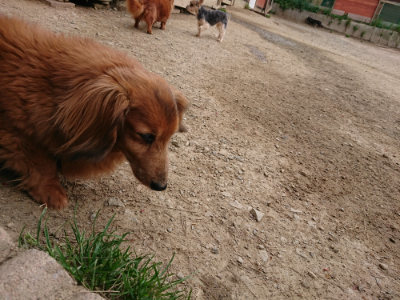 f:id:roukenhome-ann:20190421210738j:plain