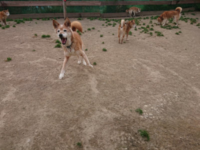 f:id:roukenhome-ann:20190421210748j:plain