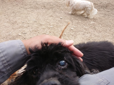 f:id:roukenhome-ann:20190421210755j:plain
