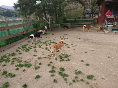 f:id:roukenhome-ann:20190421210817j:plain