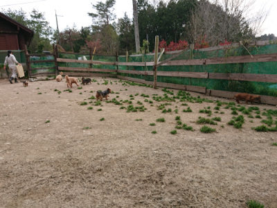 f:id:roukenhome-ann:20190421210828j:plain