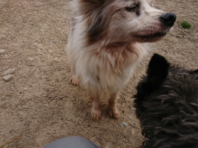 f:id:roukenhome-ann:20190421210837j:plain