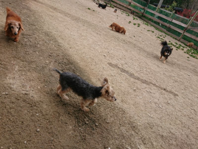 f:id:roukenhome-ann:20190421210843j:plain