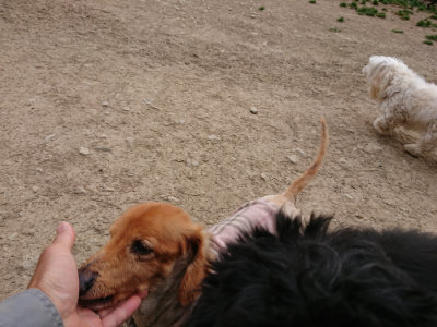 f:id:roukenhome-ann:20190421210903j:plain