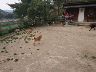f:id:roukenhome-ann:20190421210916j:plain