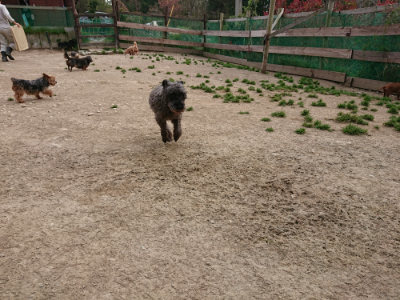 f:id:roukenhome-ann:20190421210927j:plain