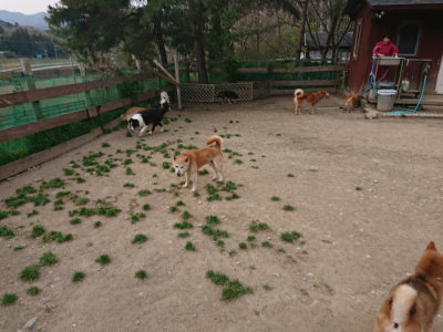 f:id:roukenhome-ann:20190421210941j:plain